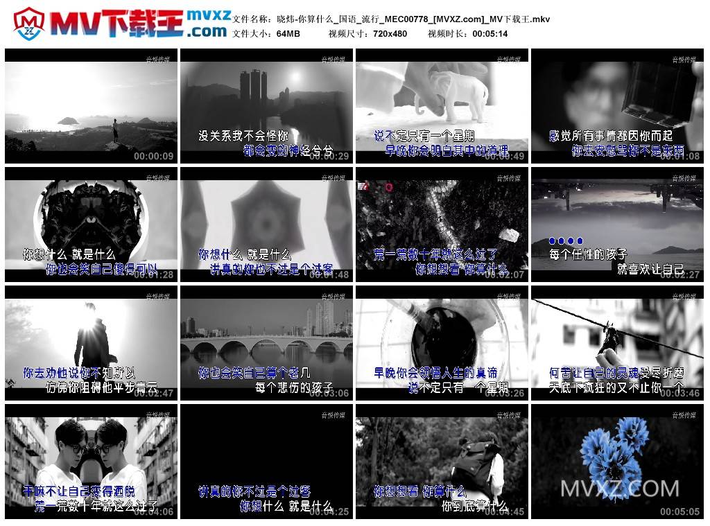 晓炜-你算什么_国语_流行_MEC00778